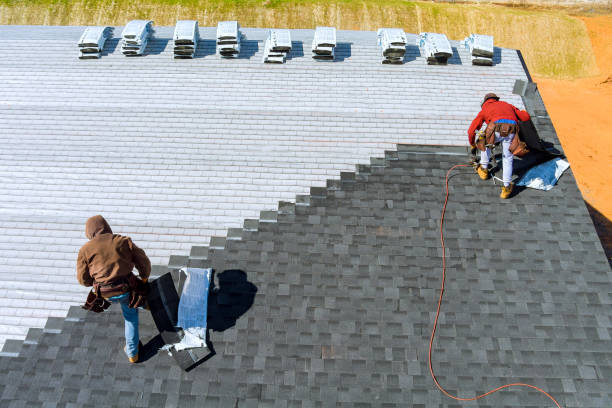 Best Metal Roofing Contractor  in Chatham, VA