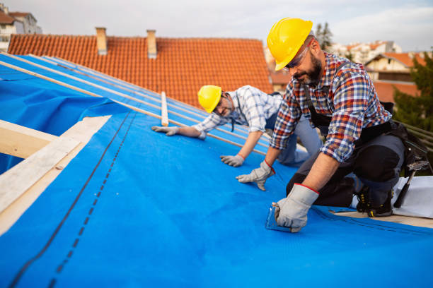 Best Roof Replacement Cost  in Chatham, VA