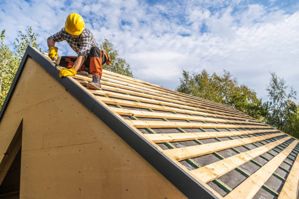 Best Roof Gutter Cleaning  in Chatham, VA