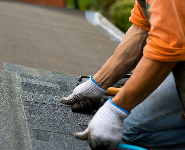Best Roof Restoration Services  in Chatham, VA